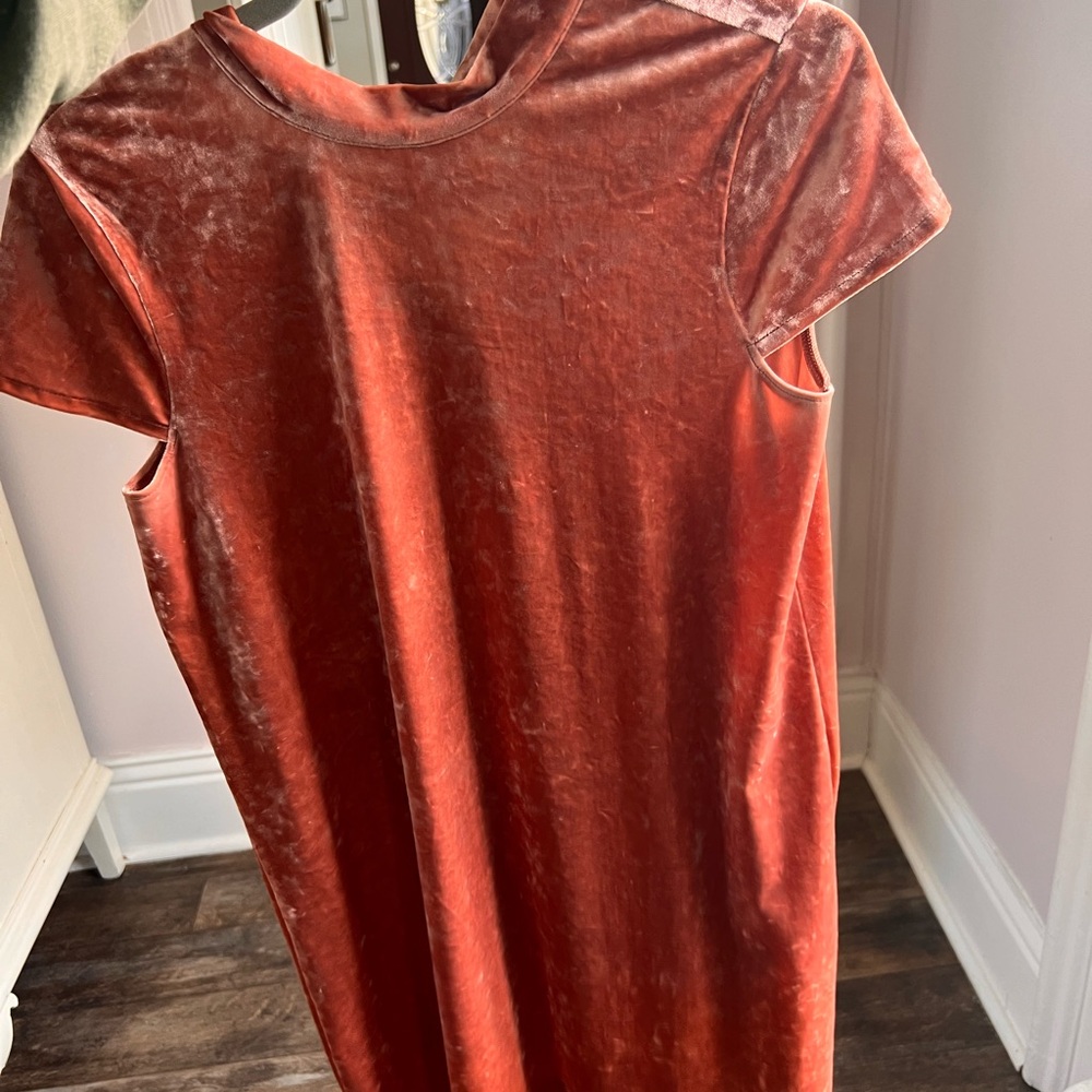 Madewell Crushed Velvet Mockneck Dress